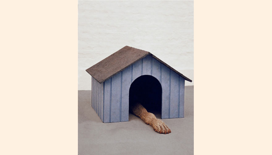 Dog House