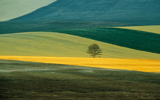 Franco Fontana 1