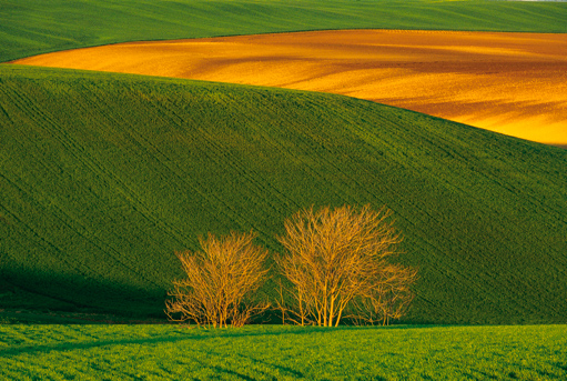 Franco Fontana 2