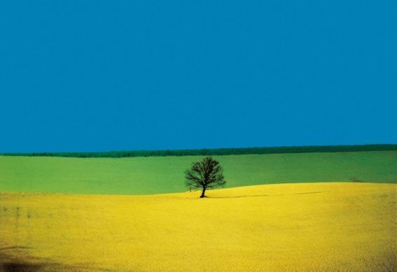 Franco Fontana 6