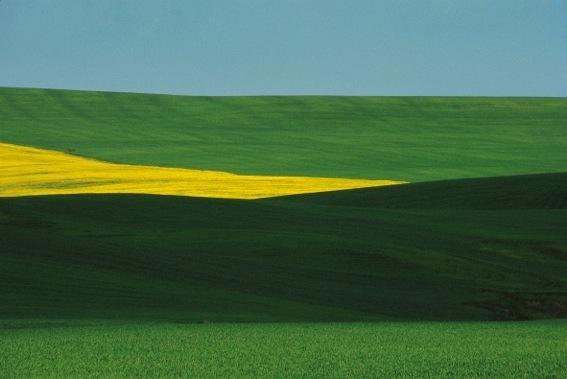 Franco Fontana 7